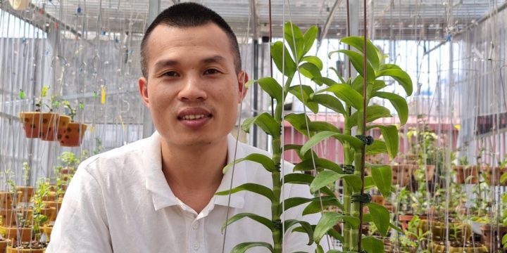 Doanh nhân Hoangnam Jsc và niềm đam mê với nghề trồng lan
