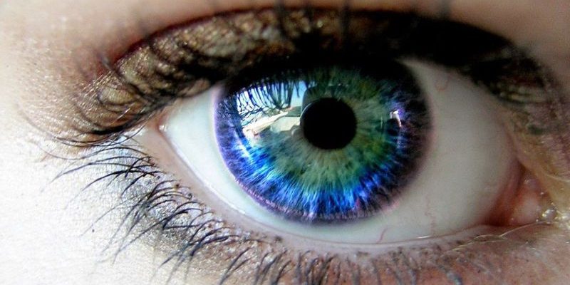 Thị giác nhân tạo – Công nghệ dành cho người khiếm thị