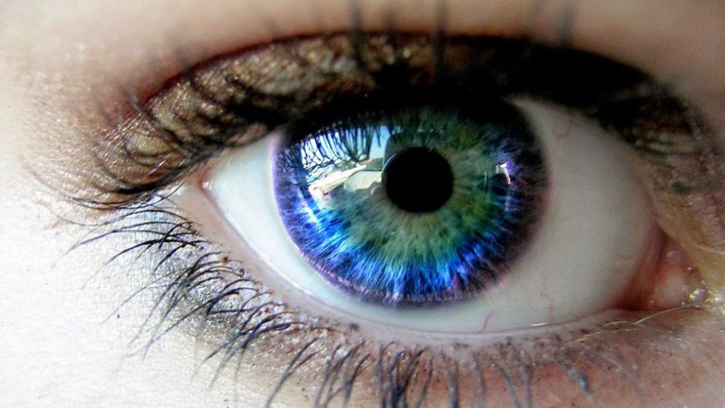 Thị giác nhân tạo – Công nghệ dành cho người khiếm thị