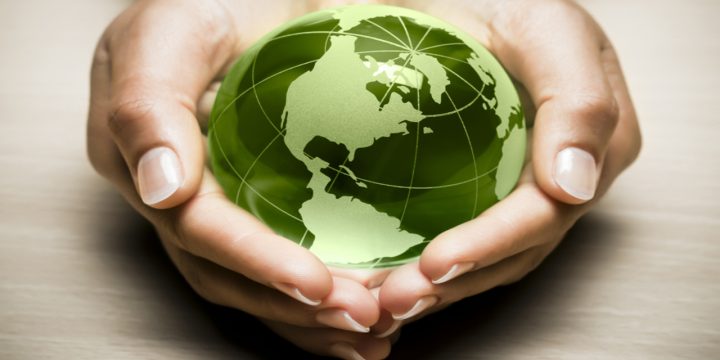 Top những câu đố về Ngày Trái Đất trên Google hay nhất 2023